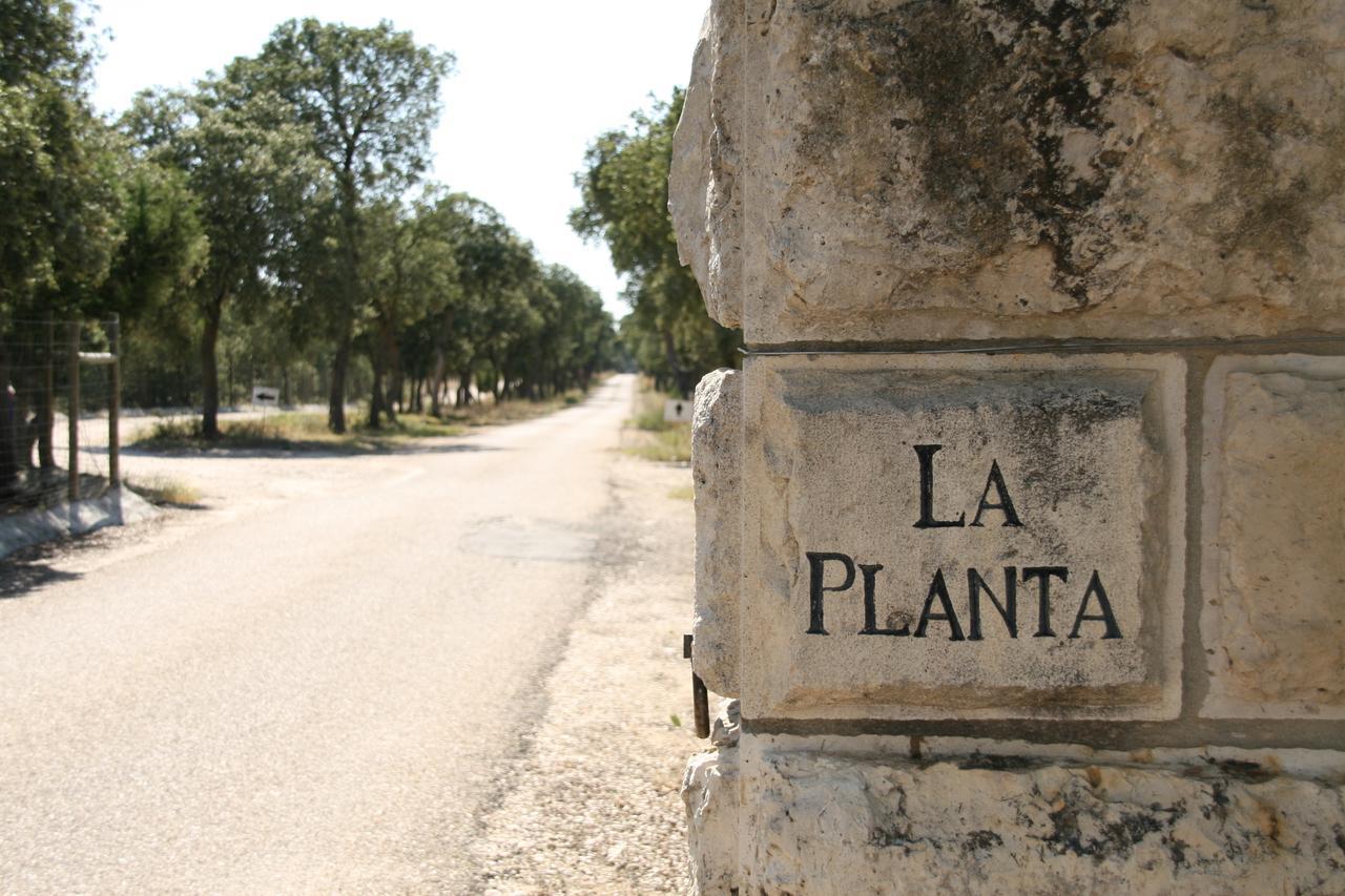 La Casita De La Planta Hotell Quintanilla de Onésimo Exteriör bild